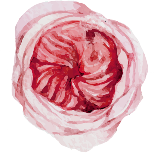 cropped-daskleinegruene-favicon-1.png